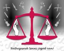 Rádió interjú - Balkezesek Világnapja