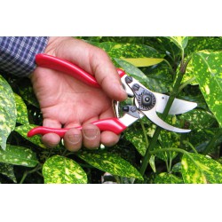 DARLAC Expert metszőolló max. 25mm átvágás, balkezes - sérült csomagolású