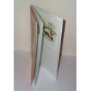 Jobb- és balkezes írás és képességfejlesztő feladatlapok óvodásoknak